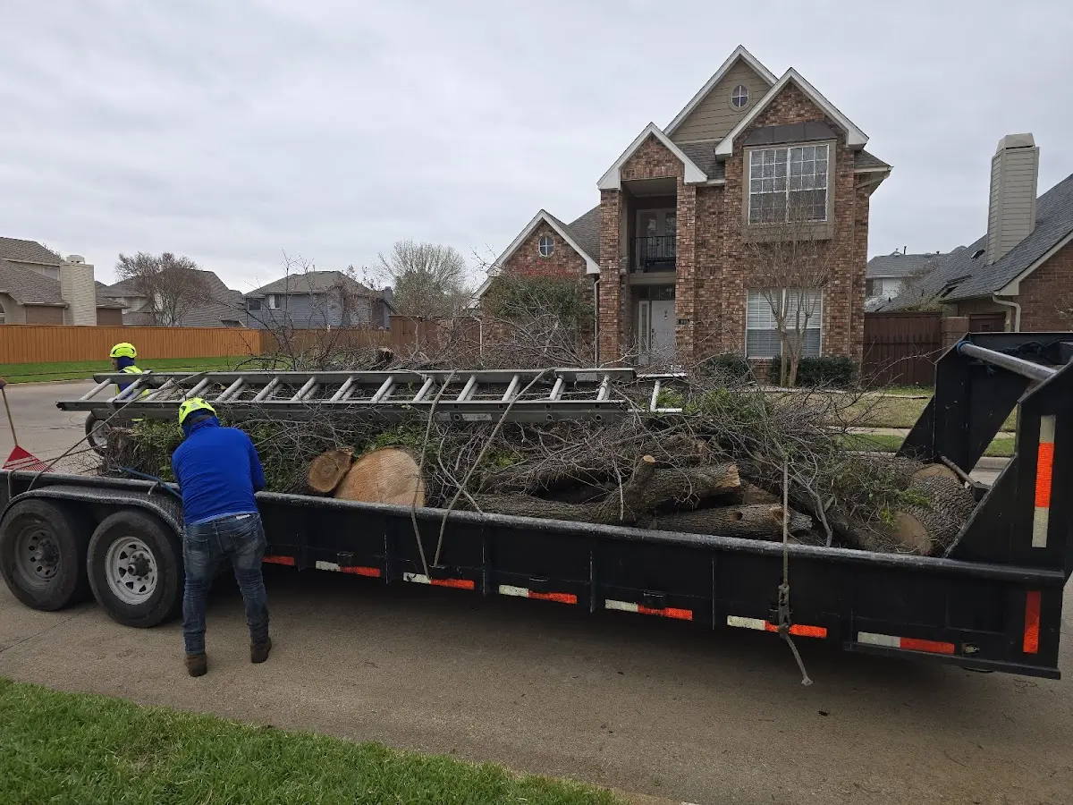 Expert Tree Pest Control with proper safety equipment in Fults